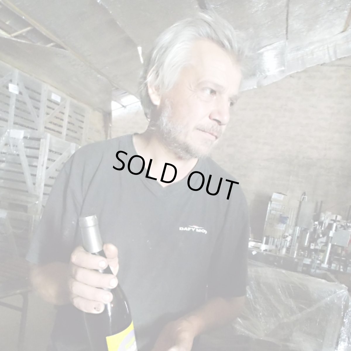 画像4: ボンヌ キーユ（赤ワイン  フランス シュド・ウエスト　ボワ・モワセ） (4)