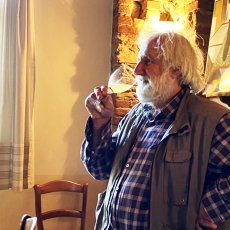 画像4: アレッサンドリーノ(赤ワイン  イタリア ピエモンテ ヴァッリ・ウニーテ) (4)