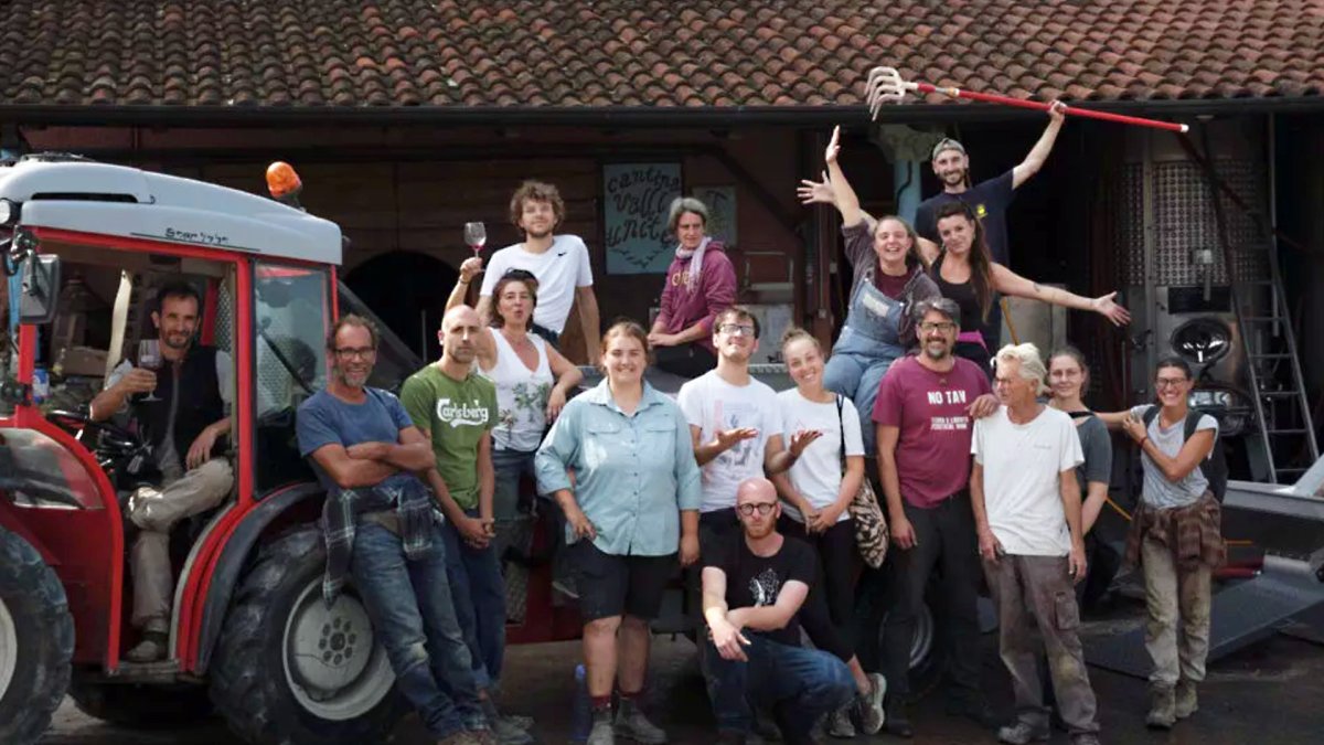 画像6: アレッサンドリーノ(赤ワイン  イタリア ピエモンテ ヴァッリ・ウニーテ) (6)