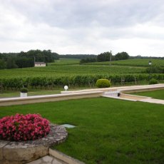 画像5: シャトー・プティ・フレイロン　ボルドー（赤ワイン  フランス ボルドー　シャトー・プティ・フレイロン） (5)