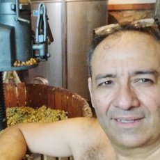 画像4: ナインキュービック（赤ワイン  スペイン カタルーニャ　セラーロス） (4)