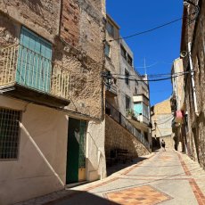 画像7: ナインキュービック（赤ワイン  スペイン カタルーニャ　セラーロス） (7)