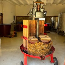 画像6: ナインキュービック（赤ワイン  スペイン カタルーニャ　セラーロス） (6)