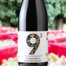 画像1: ナインキュービック（赤ワイン  スペイン カタルーニャ　セラーロス） (1)