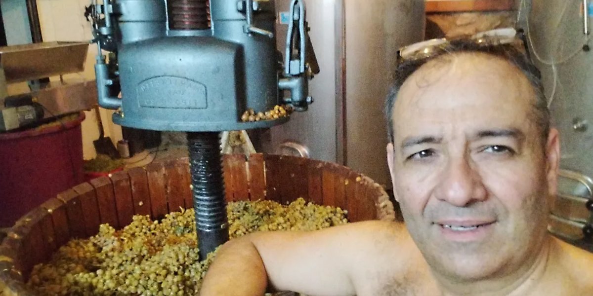 画像8: ナインキュービック（赤ワイン  スペイン カタルーニャ　セラーロス） (8)