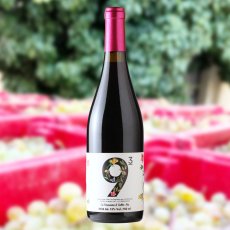 画像3: ナインキュービック（赤ワイン  スペイン カタルーニャ　セラーロス） (3)