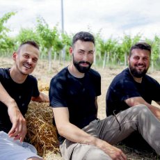 画像6: ヴィーノ スプマンテ パッセリーナ（スパークリングワイン白  イタリア アブルッツォ州　ミカーチェ） (6)