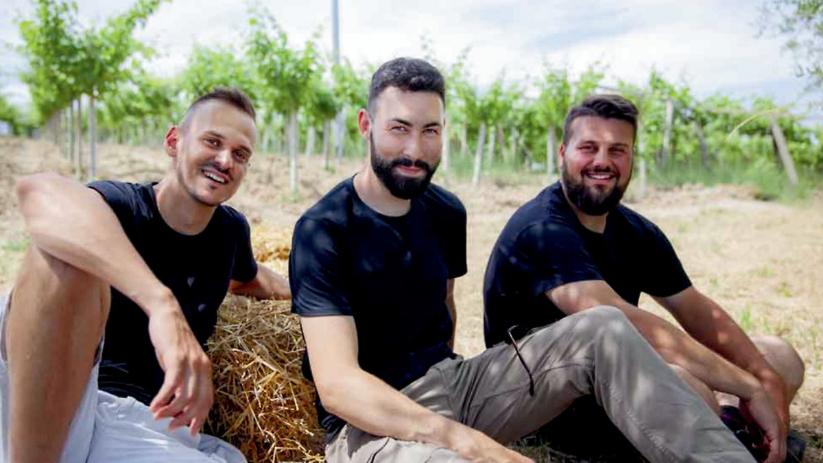 画像5: ヴィーノ スプマンテ パッセリーナ（スパークリングワイン白  イタリア アブルッツォ州　ミカーチェ） (5)