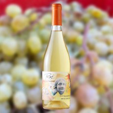 画像2: フェリウ（オレンジワイン  スペイン カタルーニャ　セラーロス） (2)