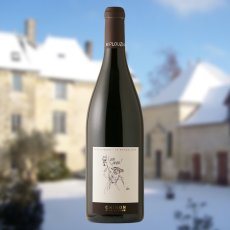 画像6:  シノン リーヴ ゴッシュ（赤ワイン フランス ロワール　シャトー・ド・ラ・ボンヌリエール） (6)