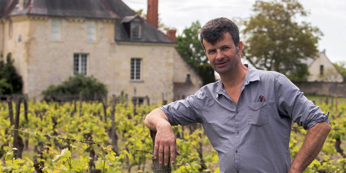 画像5:  シノン リーヴ ゴッシュ（赤ワイン フランス ロワール　シャトー・ド・ラ・ボンヌリエール） (5)