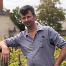 画像4:  シノン リーヴ ゴッシュ（赤ワイン フランス ロワール　シャトー・ド・ラ・ボンヌリエール） (4)