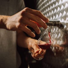 画像5: ピナップ ド ジャニーニ（赤ワイン フランス ラングドック　マス ・ ド ・ ジャニーニ） (5)