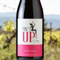 画像1: ピナップ ド ジャニーニ（赤ワイン フランス ラングドック　マス ・ ド ・ ジャニーニ） (1)