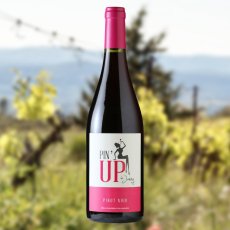 画像3: ピナップ ド ジャニーニ（赤ワイン フランス ラングドック　マス ・ ド ・ ジャニーニ） (3)