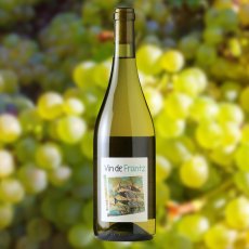 画像3: ヴァン ド フランツ ソーヴィニヨン（白ワイン フランス ラングドック　フランツ・ソーモン） (3)