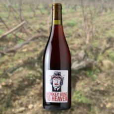 画像3: モンキー ゴーン トゥ ヘブン （赤ワイン フランス ロワール　ドメーヌ・ジュリアン・ピノー） (3)