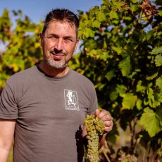 画像5: マウ グレケット ウンブリア（白ワイン イタリア ウンブリア　レオナルド ブッソレッティ） (5)