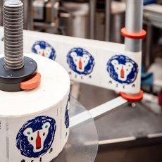 画像6: アスラ チリエジョーロ ナルニ（赤ワイン イタリア  ウンブリア　レオナルド ブッソレッティ） (6)