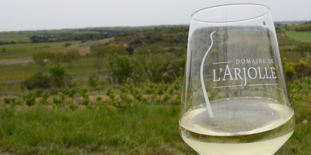 画像8: ラルジョル ブリュット ド バリックド ブラン （白ワイン フランス ラングドック　ラルジョル） (8)