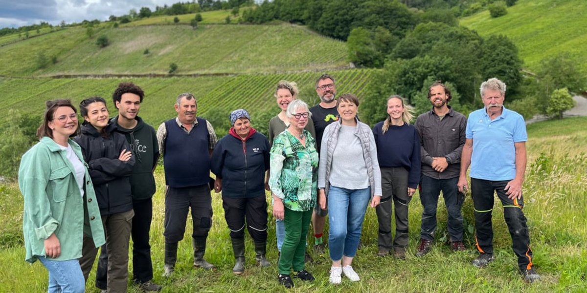 画像7: リトル バスタード （白ワイン ドイツ モーゼル　ヤン・マティアス・クライン） (7)