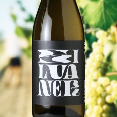 画像1: ヴァイングート ヴァイガント シルヴァーナー （白ワイン ドイツ フランケン　ヴァイングート ヴァイガント） (1)