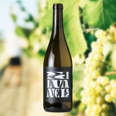 画像2: ヴァイングート ヴァイガント シルヴァーナー （白ワイン ドイツ フランケン　ヴァイングート ヴァイガント） (2)