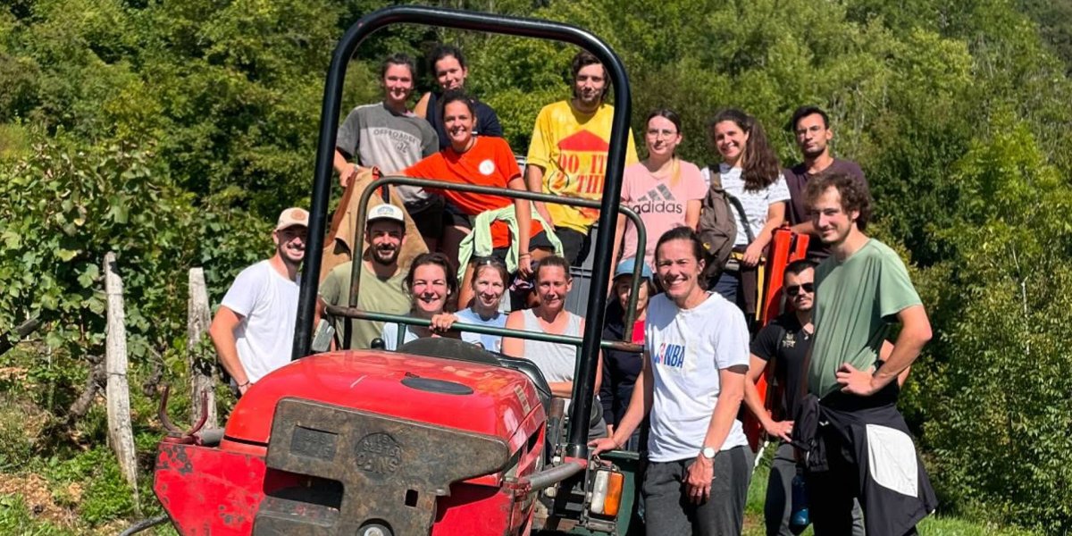 画像10: ピエ ド ムートン （赤ワイン フランス サヴォワ　ドメーヌ・デ・ソネット） (10)