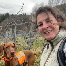 画像4: ピエ ド ムートン （赤ワイン フランス サヴォワ　ドメーヌ・デ・ソネット） (4)