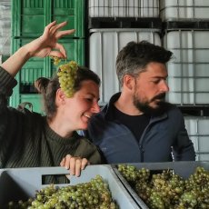 画像7: ピエ ド ムートン （赤ワイン フランス サヴォワ　ドメーヌ・デ・ソネット） (7)