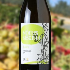 画像1: モドゥス ビベンディ ビアンコ （白ワイン イタリア シチリア　エリオス ） (1)