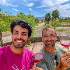 画像5: モドゥス ビベンディ ビアンコ （白ワイン イタリア シチリア　エリオス ） (5)