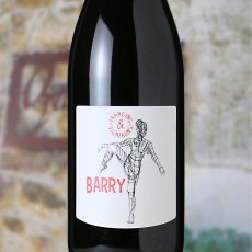 画像1: オジル バリー（赤ワイン フランス コートドローヌ　ドメーヌ オジル ） (1)