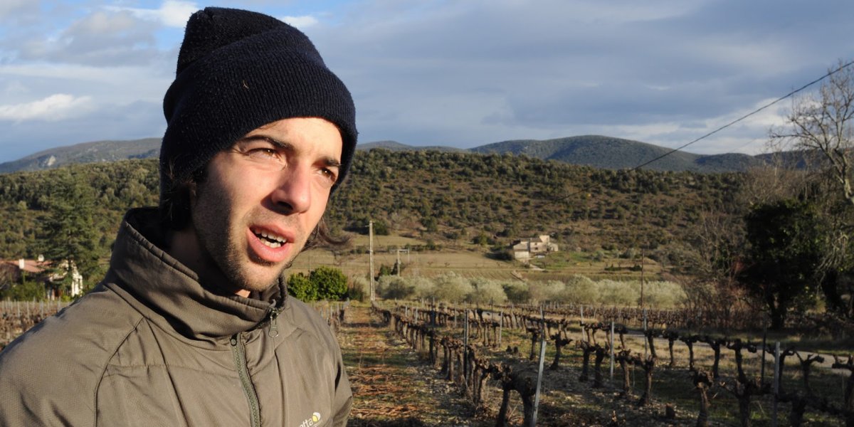 画像7: オジル バリー（赤ワイン フランス コートドローヌ　ドメーヌ オジル ） (7)