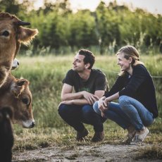 画像6: ガイヤーホフ グリューナー・ヴェルトリーナー ホフステュディエン（白ワイン オーストリア　ガイヤーホフ ） (6)