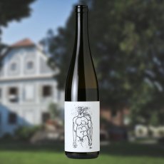 画像3: ガイヤーホフ グリューナー・ヴェルトリーナー ホフステュディエン（白ワイン オーストリア　ガイヤーホフ ） (3)