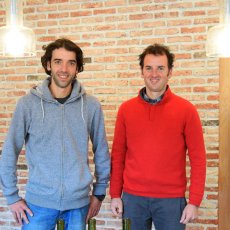 画像8: オジル バリー（赤ワイン フランス コートドローヌ　ドメーヌ オジル ） (8)