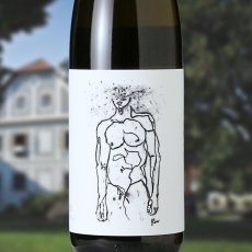 画像1: ガイヤーホフ グリューナー・ヴェルトリーナー ホフステュディエン（白ワイン オーストリア　ガイヤーホフ ） (1)