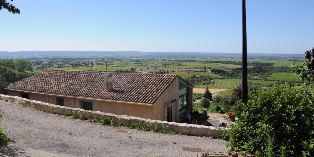 画像6: ラ・プティット・ペペ・ブラン（白ワイン フランス ラングドック　ドメーヌ・レスカルポレット） (6)