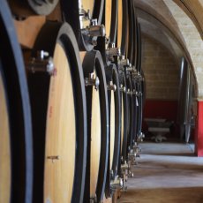 画像5: ポッジョ レ ヴォルピ プリミティーヴォ ディ マンドゥーリア（赤ワイン イタリア プーリア州　ポッジョ レ ヴォルピ） (5)