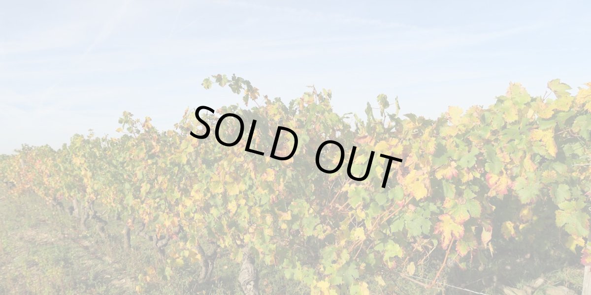 画像8: トビー ベインブリッジ ルージュ オー レーヴレ（赤ワイン フランス ロワール　トビー ベインブリッジ） (8)