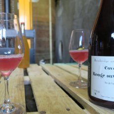 画像7: トビー ベインブリッジ ルージュ オー レーヴレ（赤ワイン フランス ロワール　トビー ベインブリッジ） (7)