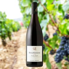 画像3: カンタン ジャノ ブルゴーニュ ピノ ノワール （赤ワイン フランス ブルゴーニュ） (3)