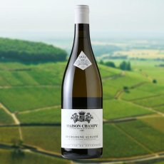 画像2: メゾン シャンピー　ブルゴーニュ アリゴテ（白ワイン フランス ブルゴーニュ　メゾン シャンピー） (2)
