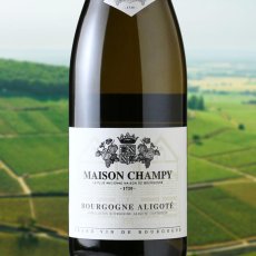 画像1: メゾン シャンピー　ブルゴーニュ アリゴテ（白ワイン フランス ブルゴーニュ　メゾン シャンピー） (1)