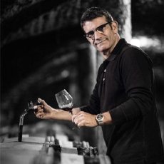 画像7: メゾン シャンピー　ブルゴーニュ アリゴテ（白ワイン フランス ブルゴーニュ　メゾン シャンピー） (7)