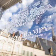 画像5: メゾン シャンピー　ブルゴーニュ アリゴテ（白ワイン フランス ブルゴーニュ　メゾン シャンピー） (5)