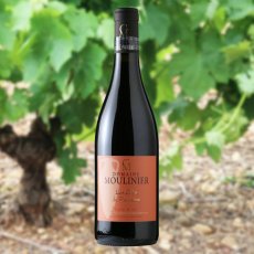 画像4: レ グレ ド ピエールリュ（赤ワイン フランス ラングドック　ドメーヌ ムリニエ） (4)