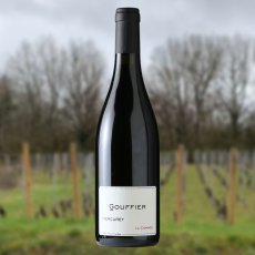 画像3: グフィエ メルキュレイ シャルメ（赤ワイン フランス メルキュレイ　ドメーヌ・グフィエ） (3)