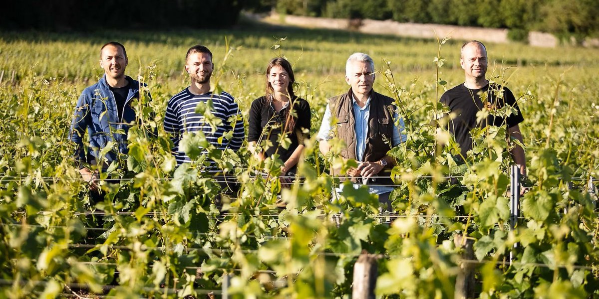 画像7: グフィエ メルキュレイ シャルメ（赤ワイン フランス メルキュレイ　ドメーヌ・グフィエ） (7)